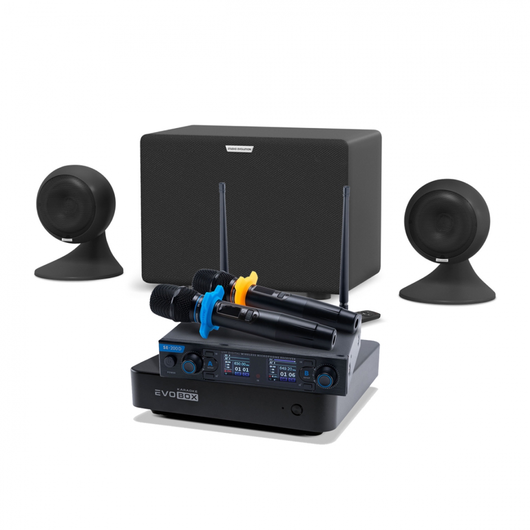 караоке-комплект EVOBOX + EvoSound Sphere 2.1 в Аксае