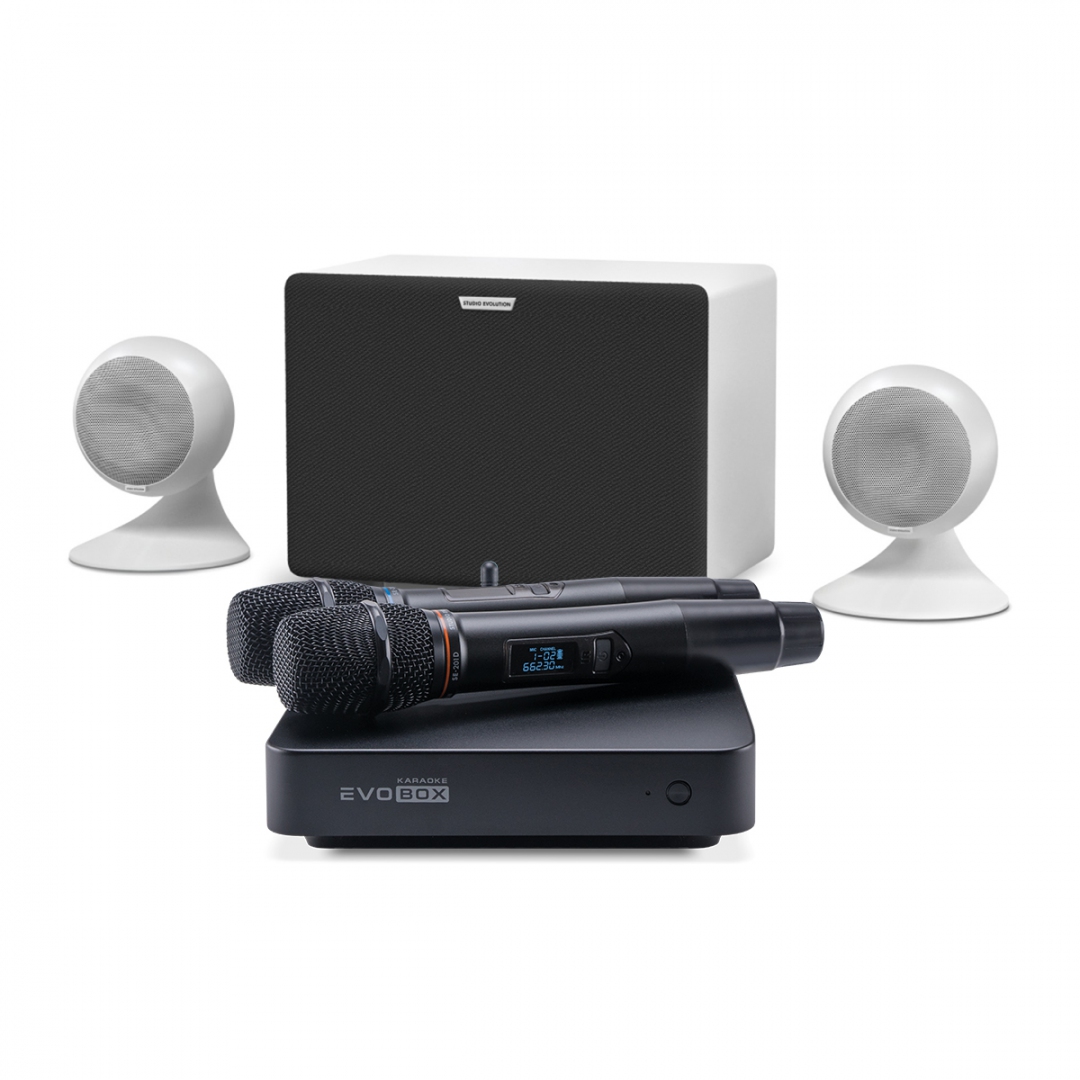 караоке-комплект EVOBOX Classic + EvoSound Sphere 2.1 в Аксае
