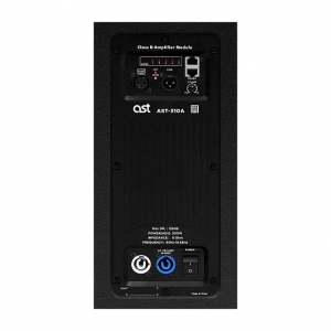 Активная акустическая система AST-310A в Аксае