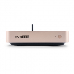 EVOBOX Plus караоке-система для дома в Аксае