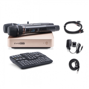 EVOBOX Plus караоке-система для дома в Аксае