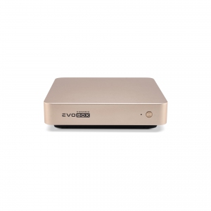 EVOBOX с микрофонами в Аксае